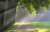 Herbst im Park by Bernhard Kaiser