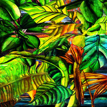 Tropical Plants by Blake Robson