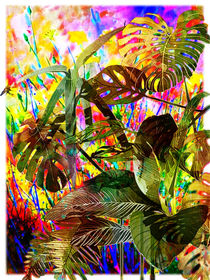 Tropical Plants and Flowers von Blake Robson