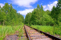 Summer. Forest. Railway von mnwind