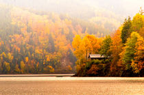 The big Tarn in Thuringia by mnfotografie