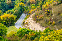 Landstraße durch den Wald von mnfotografie