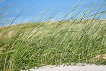 Strand Langeoog by sven-fuchs-fotografie