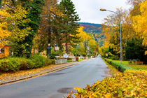 Straße Bad Blankenburg von mnfotografie