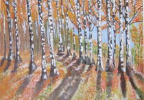 Birken im Herbst by markgraefe