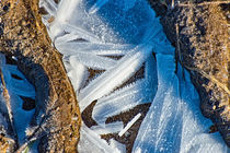 Gefrorene Pfütze I by mnfotografie