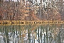 Isar-Spiegelungen... von loewenherz-artwork