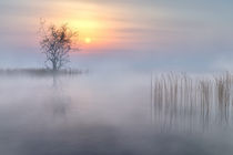 Foggy Lake by Andreas Hoops
