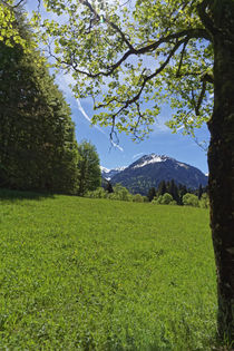 mountain landscape in spring von alphashooter