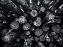 A Pile of Logs von James Aiken