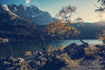 [:] Coloured tree and Zugspitze in Bavaria at lake Eibsee [:] by Franz Sußbauer