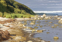 Steilküste nahe Kap Arkona, Insel Rügen  von Rene Müller