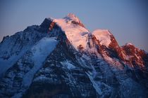 Jungfrau im Abendlicht von Bettina Schnittert