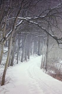 Winterwald von Photo-Art Gabi Lahl