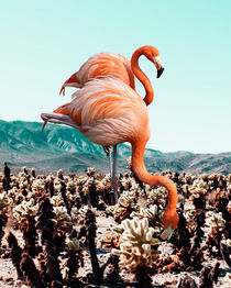Flamingos in The Desert by Uma Gokhale