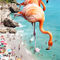 Flamingos-on-the-beach-main1