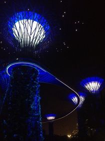 lichtsäule singapur by Klara Latz