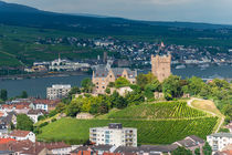 Burg Klopp in Bingen 29 von Erhard Hess