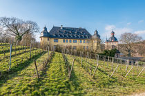 Schloss Vollrads im Rheingau 90 von Erhard Hess