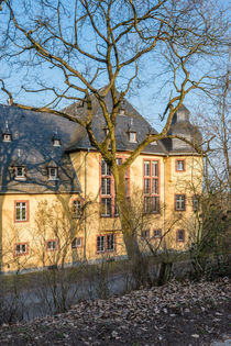 Schloss Vollrads im Rheingau 05 von Erhard Hess