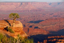 Canyonland by dm88