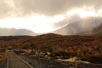 Tongariro Crossing am Morgen von dm88