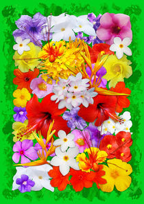 Exotic Flowers Colorful Explosion  von bluedarkart-lem