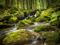 Landschaft des Wassers by jazzlight