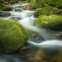 Autumn Water  von jazzlight