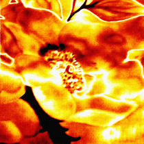 Calendula in Fire von tawin-qm