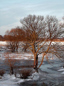 Von der Wintersonne geküßt von voelzis-augenblicke