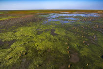 Wattenmeer in Nordfriesland von Britta Hilpert