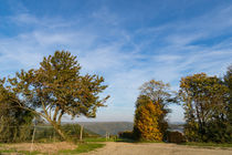 Der Herbst hält Einzug by Ronald Nickel