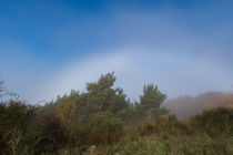 Zwischen Nebel und Sonnenschein von Ronald Nickel