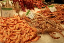 Prawns at La Boqueria in Barcelona by stephiii