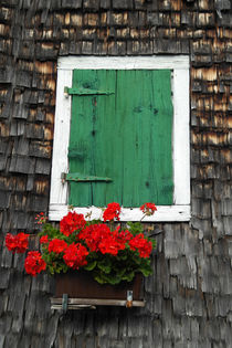 Old wooden house with green shutter andflowers by stephiii