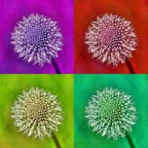 Pop Art Pusteblume by kattobello