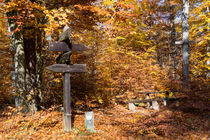 Wegweiser durch den Herbst von Ronald Nickel