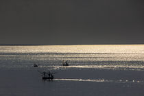 golden reflections on the sea at dawn von anando arnold