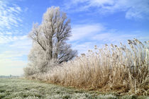 Frost in Ostfriesland von ropo13