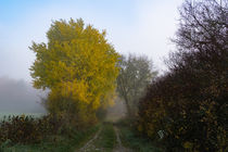 Der blaue Himmel lässt sich über dem Nebel erahnen by Ronald Nickel