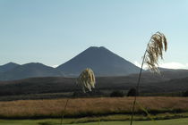 Volcano Ngauruhoe in the Tongariro National Park -New Zealand von stephiii