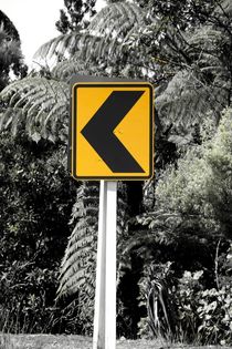 Road sign in New Zealand von stephiii