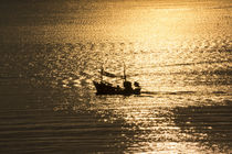 fisherboat and the reflections of the sun by anando arnold