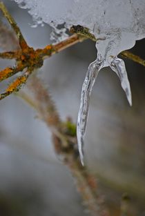 Eiszapfen... 1 von loewenherz-artwork