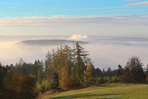 Ein schöner Herbstmorgen by Bernhard Kaiser