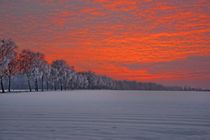 Der Himmel brennt by gscheffbuch