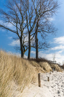 Strandweg von jazzlight