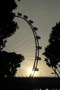 Singapore Flyer von stephiii