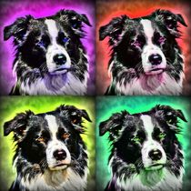 Pop Art Border Collie 2 by kattobello